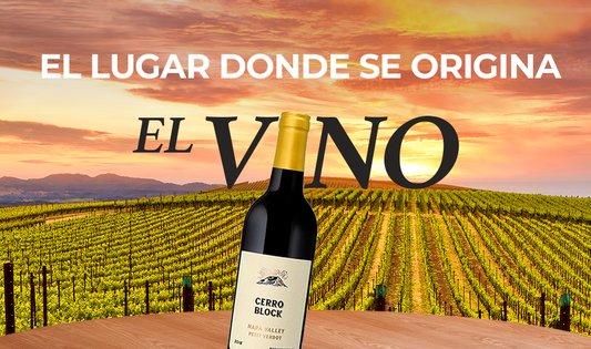 California Wines: Una guía para los amantes del vino