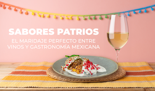 Sabores Patrios: El Maridaje Perfecto entre Vinos y Gastronomía Mexicana