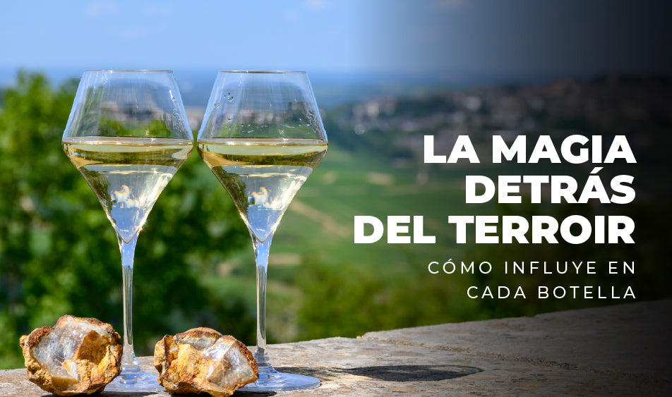 La Magia Detrás del Terroir: Cómo Influye en Cada Botella