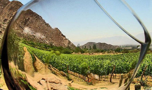 La Ruta del Vino del Valle de Guadalupe, un paraíso vinícola