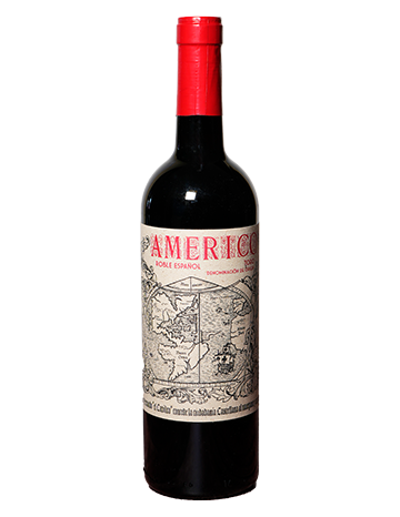 Americo Tinta Toro DO Toro